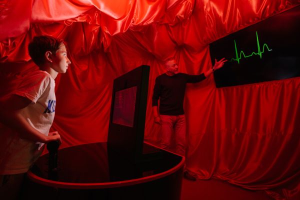 VIDA Expozice Srdce Obra